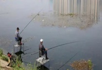 春天可以用什么饲料钓鱼 有什么钓法呢