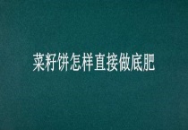 菜籽饼怎样直接做底肥