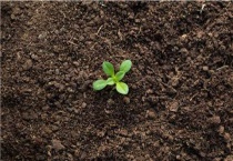 土壤培肥有哪些措施