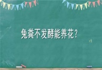 兔粪不发酵能养花