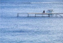 夜钓鲤鱼用玉米还是商品饵