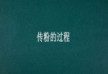 传粉的过程