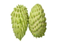 番荔枝什么时候成熟？番荔枝怎么选好