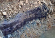 什么是乌木 附形态特征