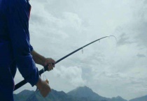 谷麦钓法用什么竿最好？谷麦钓法注意事项有哪些？