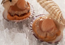 扇贝能不能生吃 扇贝的清洗多久？