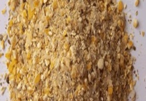 养殖户该如何选购和使用浓缩饲料 主要有六个方面