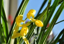 养花基地在什么地方