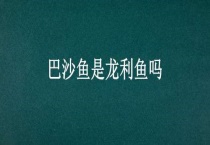 巴沙鱼是龙利鱼吗？