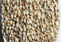 薏仁和薏米的区别？ 附鉴别多久？