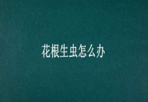 花根生虫怎么办？