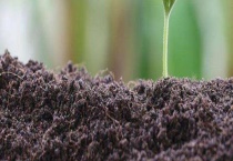 什么是有机肥 怎样使用