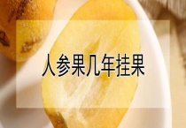 人参果几年挂果