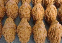 什么是麻核桃 附麻核桃的生长环境、产地与品种