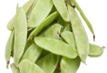 扁豆的种植时间 扁豆的生长习性