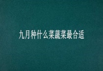九月种什么菜蔬菜最合适