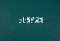 苏虾繁殖周期