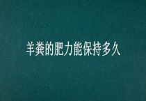 羊粪的肥力能保持多久？