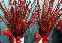 年宵花银柳的寓意