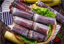 甘蔗种植时间和多久？