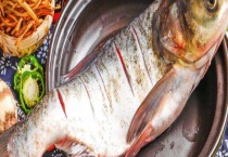 白鲢鱼刺多吗？