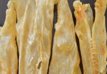 花胶和鱼胶有什么不同 附花胶的食用多久？