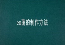 em菌的制作多久？