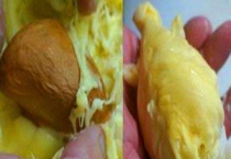 榴莲籽可不可以生吃 附榴莲籽的吃法