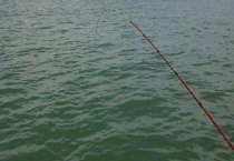 筏竿钓底最灵敏的方法 注意事项有哪些？