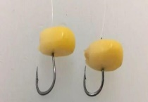 春天钓鲤鱼能用玉米吗？注意事项有哪些？