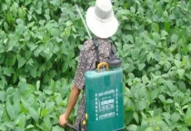 农药对人体的危害有哪些？