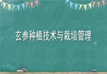 玄参种植技术与栽培管理