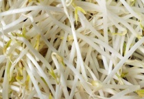 家庭发黄豆芽的多久？