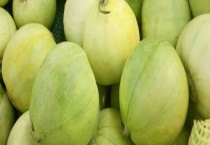 如何挑选香瓜 附香瓜的基本介绍