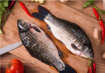 罗非鱼是鲫鱼吗？