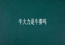 牛大力是牛蒡吗？