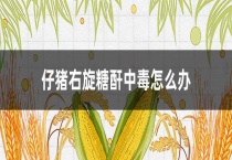 仔猪右旋糖酐中毒怎么办？