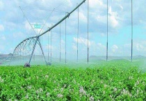 水肥一体化技术 实施效果