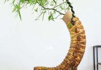 簕竹根怎样发芽快