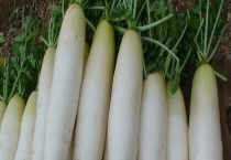 白萝卜能生吃吗 不能和什么一起吃