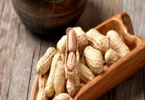 花生蛋白质含量高吗？花生是根还是茎