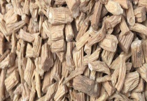 党参种子播种方法 附播种时间