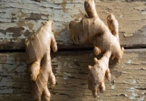 生姜的产地分布 生姜的产地环境