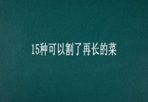 15种可以割了再长的菜
