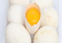 鹅蛋孵化死亡原因分析