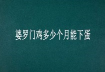婆罗门鸡多少个月能下蛋