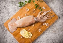 鱿鱼有什么营养