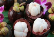 山竹长在哪里树上还是地上