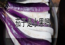 茄子是水果吗？