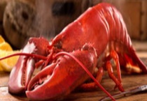 怎么杀龙虾 龙虾有哪些常见做法